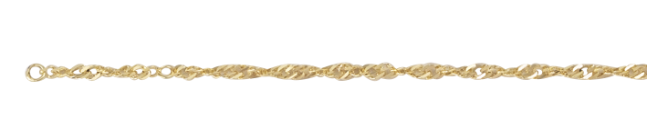 Fusskette Singapur 2.9mm