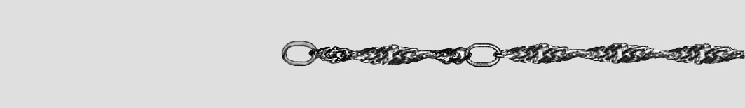 Fusskette Singapur 2.4mm