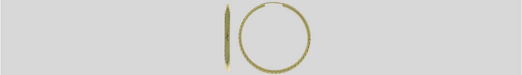 Ohrschmuck Creole 2,5 mm